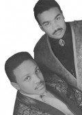 JM Silk-Picture