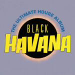 Black Havana Cover front de uk