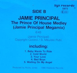 DJ International Acid House Megajackmix Cover back Jamie Principal Medley zyx 1988 (Ausschnitt)