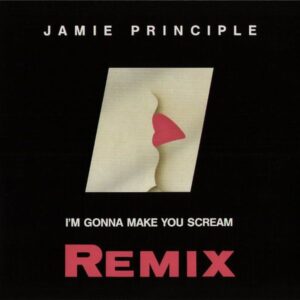 Jamie Principle I'm gonna make you Scream (Remix) Cover front zyx